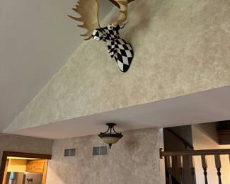Retired Harlequin moose head