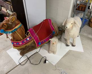 RARE camel/sheep display
