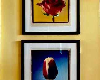 Framed botanical art