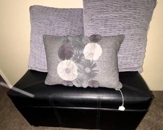 Ottoman/chest and pillows.