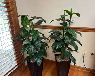Matching artificial plants