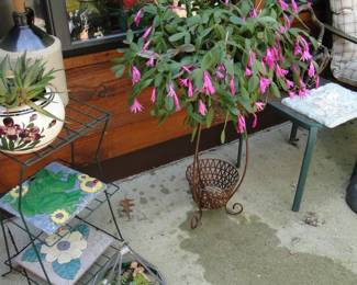 Summer Cactus