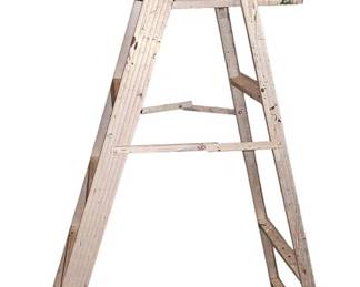 Keller 6 ft Ladder