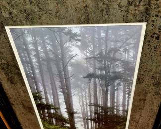 Framed photographs with Museum Quality frames