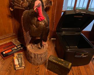Stuffed turkey