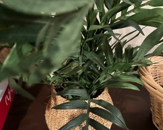 faux plant