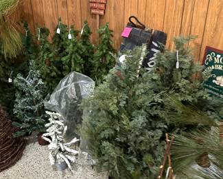 LARGE SELECTION OF CHRISTMAS TREES