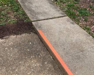 Entry Into The House ~ Be Carful On The Steps!