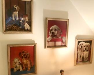 Sweet puppy pics