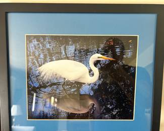 Framed Egret Photograph