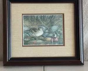 Framed Art Print of Ducks