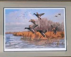 As Good As Home - Mallards by Gary Moss