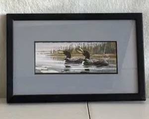 Framed Art Print of Loons