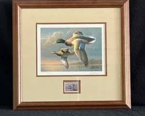Framed Art Print featuring Mallard Ducks