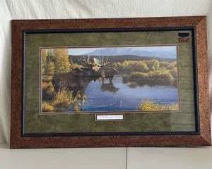 North Country Moose Framed Print