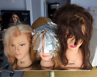 Hair Styling Training Mannequins Heads, Qty 5