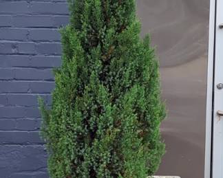 Concrete Planters, Qty 2