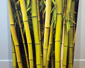 Bamboo Forest Canvas Print, 40" x 30"