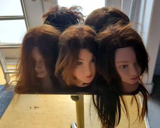 Hair Styling Training Mannequins Heads, Qty 5