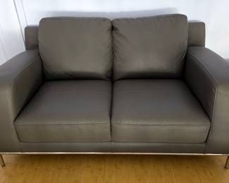 Modern Gray Loveseat Sofa