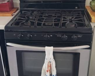 Frigidaire gas stove