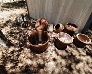 plant pots