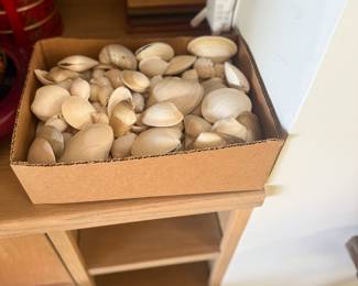 Shells