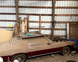 camaro body