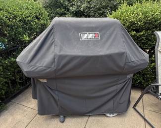 WEBER GAS GRILL