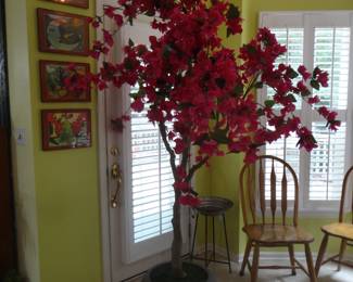 Cherry Blossom Tree