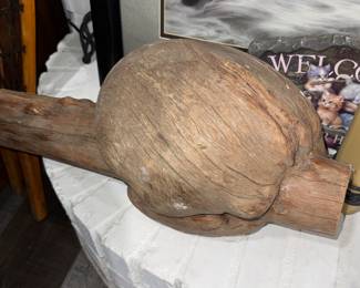 Tree Burl and branch from Alaska