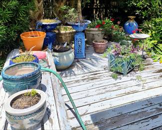 Potted Plants and Garden Decor