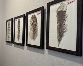 Feather Art