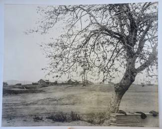 1997 large format photo of Brentwood. Details on back.