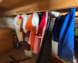 children’s Halloween costumes Winnie the Pooh Tigger 1950s girl pirate, Dalmatian and more!