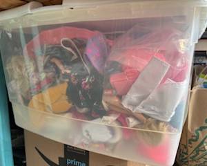 Vintage Barbie dolls