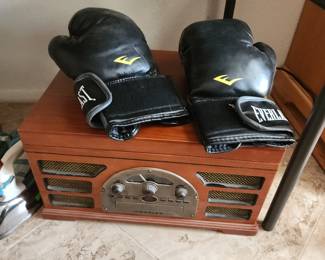 Everlast Boxing Gloves