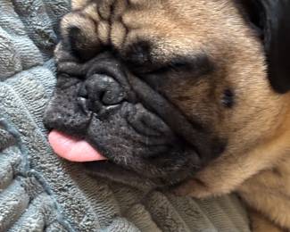 Sorry but Preston is not for sale!