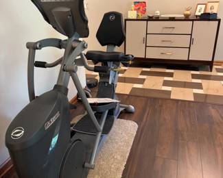 $3500 Octane Elliptical, purchased from Durst Cycle. Q37xi