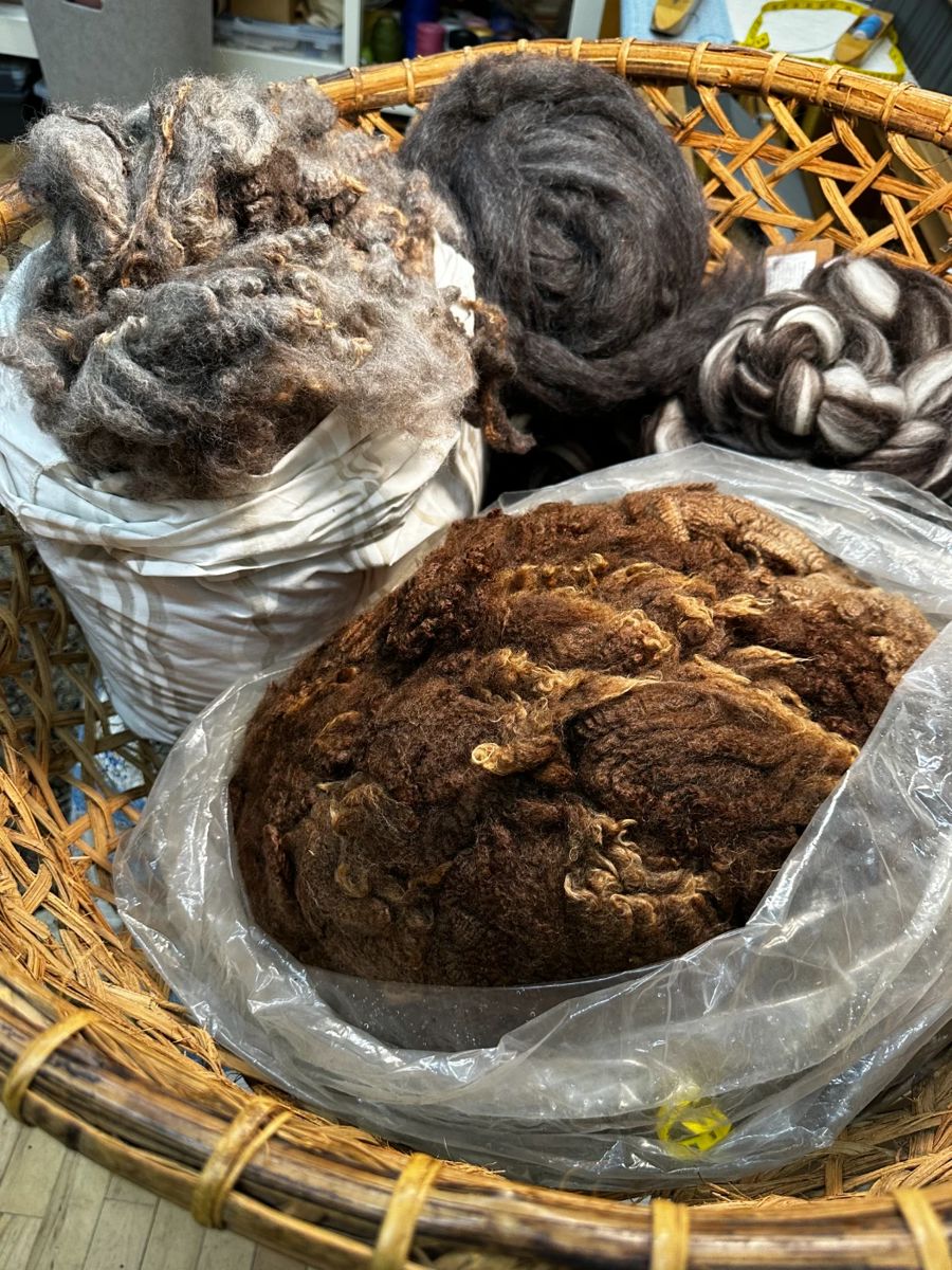 Many raw fleeces and processed roving for sale!