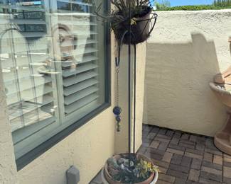 Plants