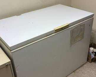 Chest freezer