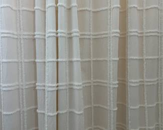Shower Curtain with Rings
