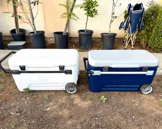Igloo 20 gal coolers