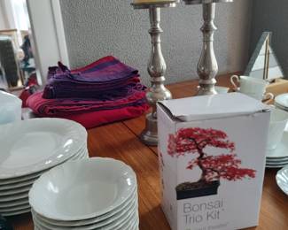 Dinnerware and Misc