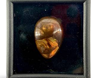 Deerfield Arizona Fire Agate Gemstone