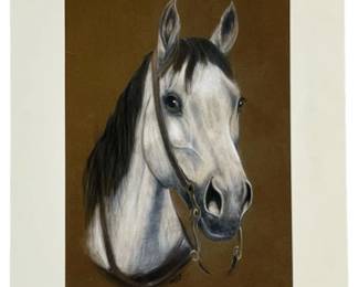 Signed Andy Realistic Horse Pastel on Velvet