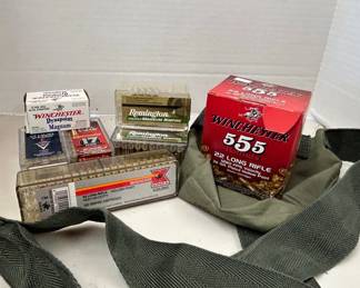 Winchester Remington And Hornady Ammo