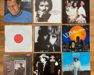 Collection Of 9 Vintage Vinyl Records Including Gordon Lightfoot Rod Stewart And Michael McDonald