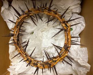 Crown of Thorns